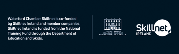 Skillnet Funding Plate