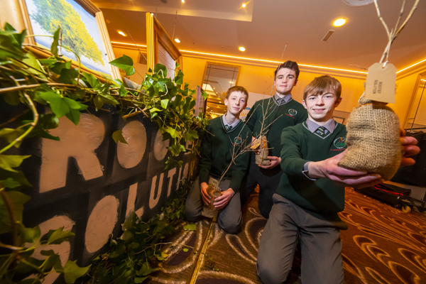 Waterford SEP Awards 2020