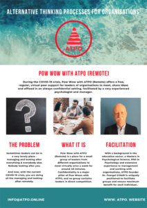 ATPO Pow Wow Remote 1