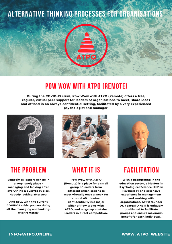 ATPO Pow Wow Remote 1