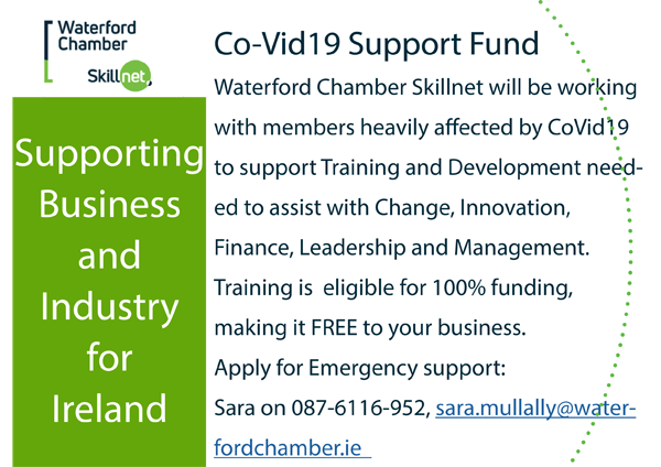 Skillnet Digital Classroom Apr May 2020 2