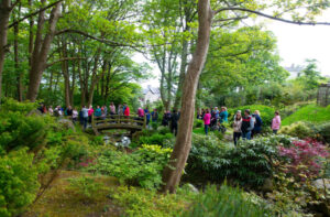 Lafcadio Japanese Gardens