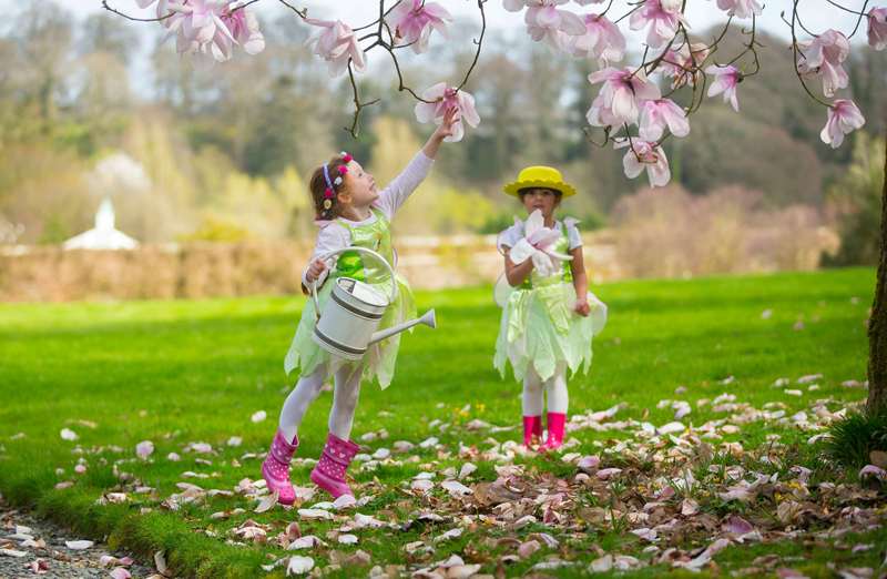 Mount Congreve Nature Trail