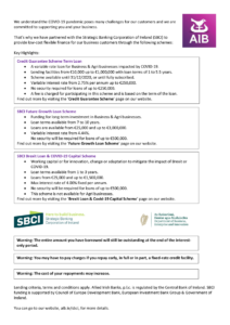 AIB SBCI finance schemes